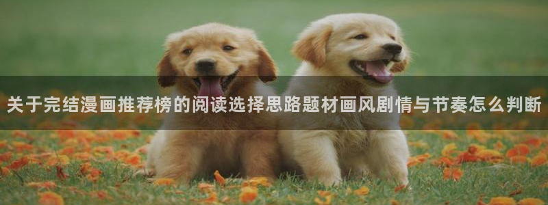 漫画岛精品漫画：关于完结漫画推荐榜的阅读选择思路题材画风剧情与节奏怎么判断