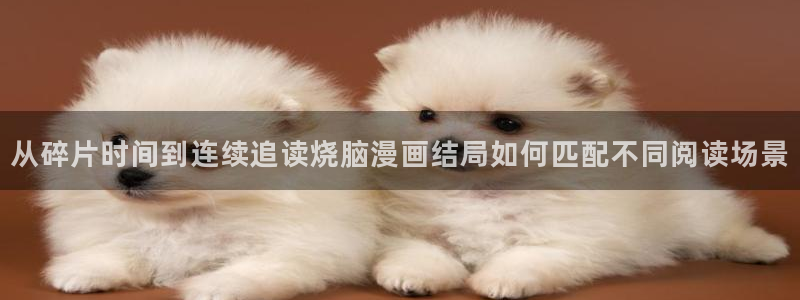 漫画岛免费漫画大全:从碎片时间到连续追读烧脑漫画结局如何匹配不同阅读场景