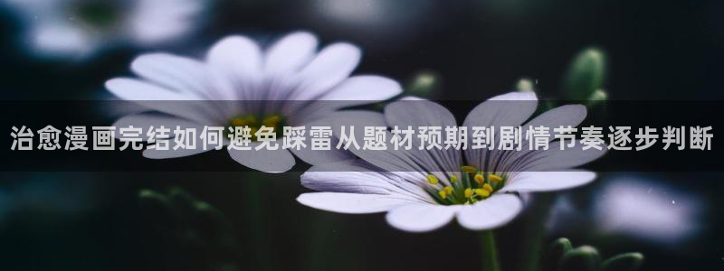 漫画岛网页地址:治愈漫画完结如何避免踩雷从题材预期到剧情节奏逐步判断