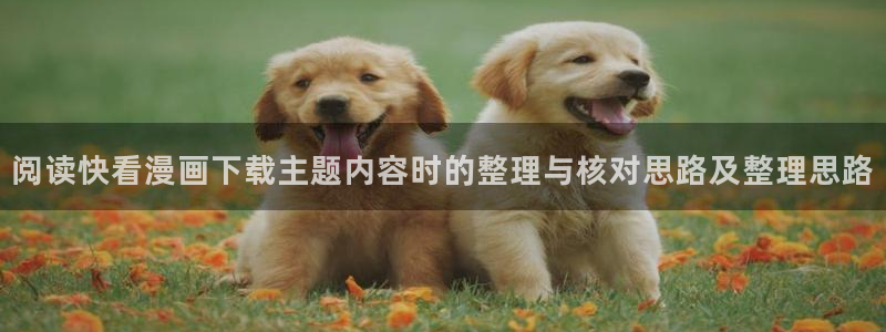 漫画岛在线:阅读快看漫画下载主题内容时的整理与核对思路及整理思路