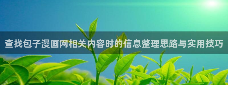 漫画岛在线阅读网站：查找包子漫画网相关内容时的信息整理思路与实用技巧