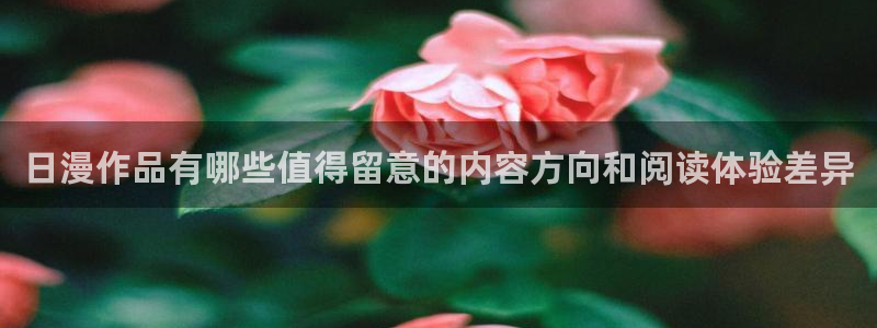 漫画岛热门作品推荐：日漫作品有哪些值得留意的内容方向和阅读体验差异
