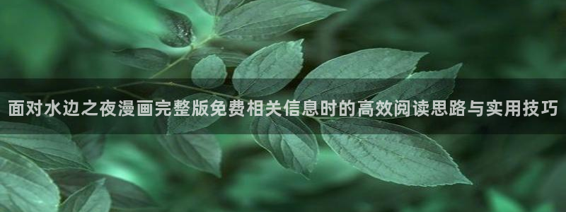 漫画岛漫画大全：面对水边之夜漫画完整版免费相关信息时的高效阅读思路与实用技巧