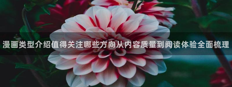 漫画岛完结作品：漫画类型介绍值得关注哪些方向从内容质量到阅读体验全面梳理