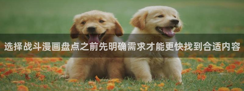 漫画岛完结漫画：选择战斗漫画盘点之前先明确需求才能更快找到合适内容