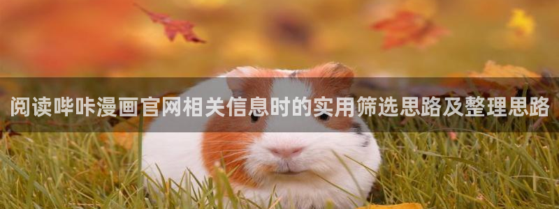 漫画岛漫画导航：阅读哔咔漫画官网相关信息时的实用筛选思路及整理思路